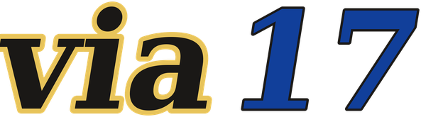 via17 logo